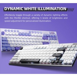 Thunderobot K96 Trimode 2.4GHz-BT-USB-C 96 Red Switch Low-Profile Keyboard (Boxed) — Buy in Cyprus with Fast Delivery