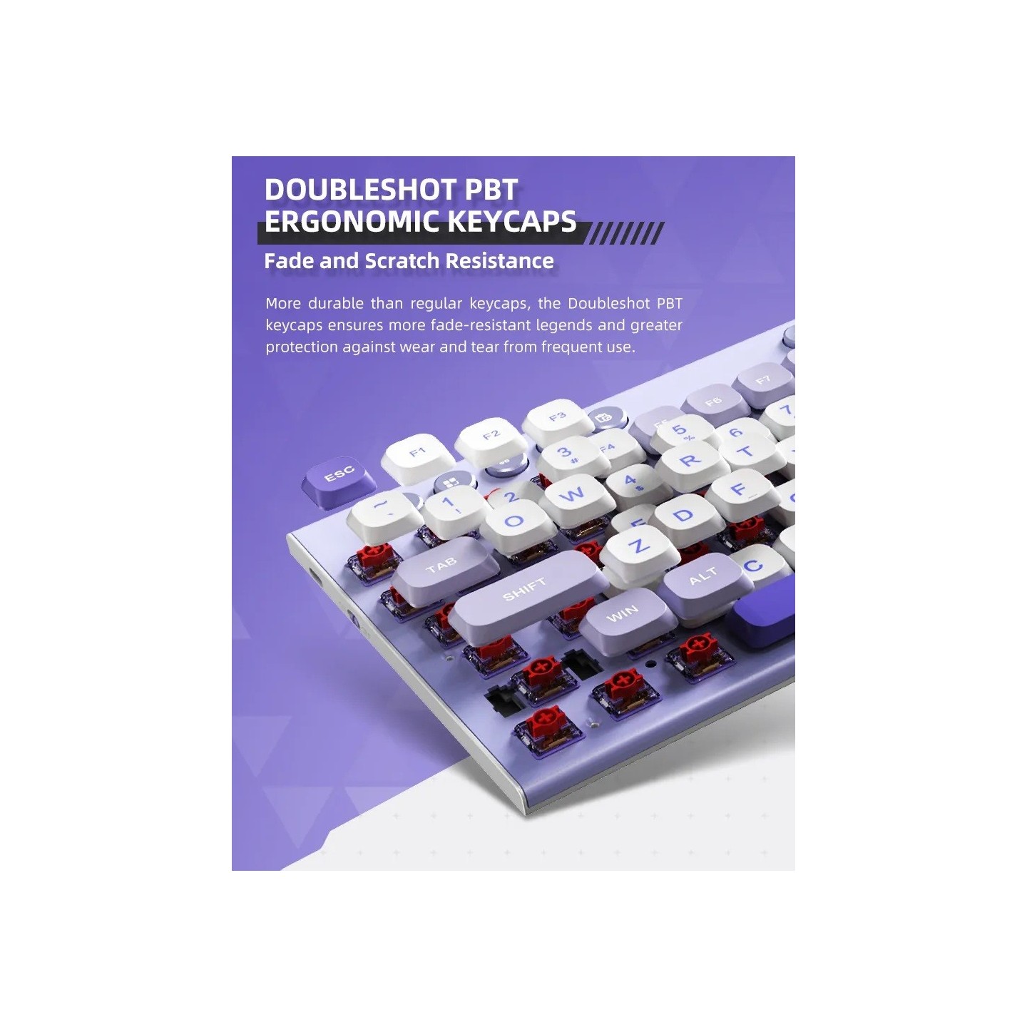 Thunderobot K96 Trimode 2.4GHz-BT-USB-C 96 Red Switch Low-Profile Keyboard (Boxed) — Buy in Cyprus with Fast Delivery