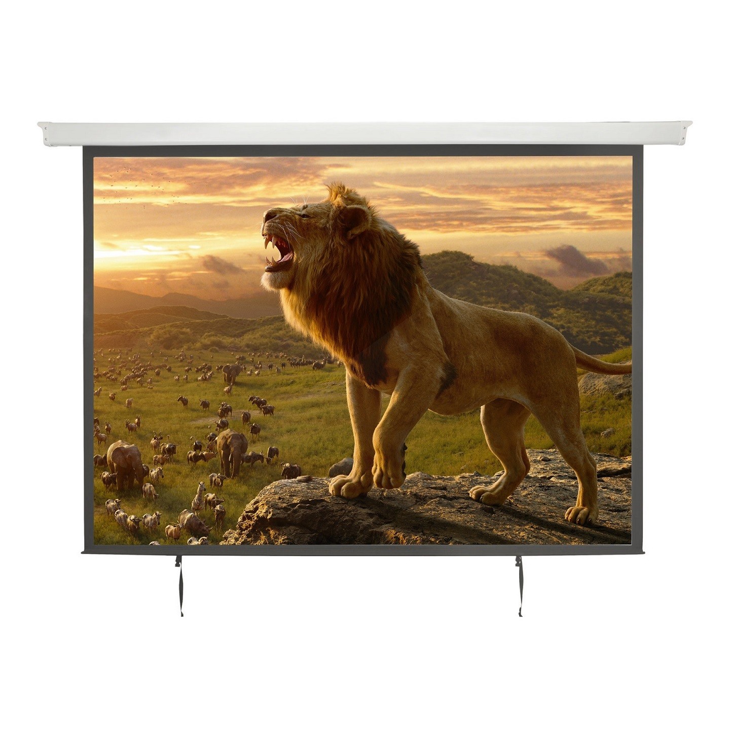AV:Link Electric Screen - 952.322UK - 4:3 100' 2.0x1.5 — Buy in Cyprus with Fast Delivery