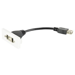 Buy AV:Link Wall Plate Module USB-B 2.0 - 122.535UK - Wall Plate Module USB-B 2.0 in Cyprus, Nicosia, Limassol, Larnaka, Pafos