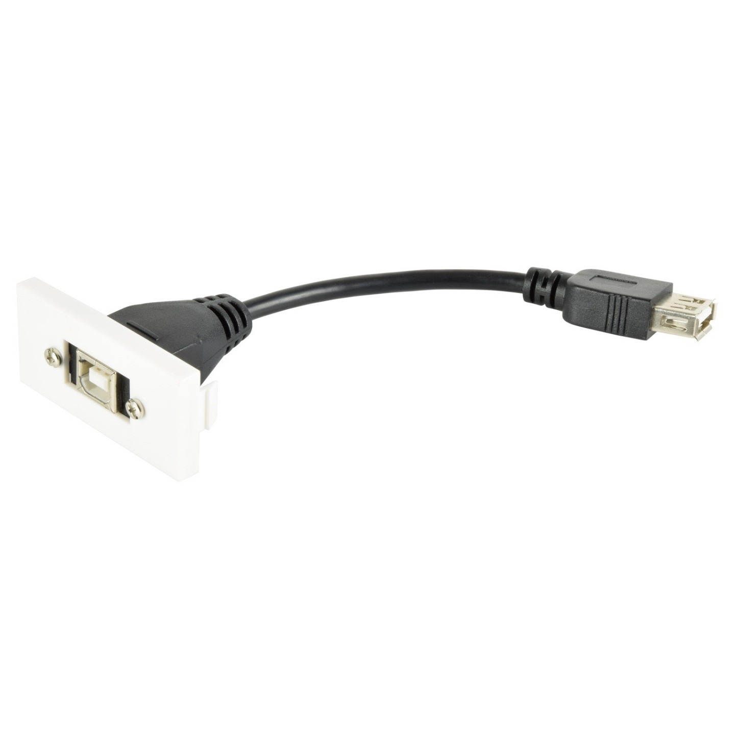 AV:Link Wall Plate Module USB-B 2.0 - 122.535UK - Wall Plate Module USB-B 2.0 — Buy in Cyprus with Fast Delivery