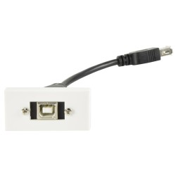 Buy AV:Link Wall Plate Module USB-B 2.0 - 122.535UK - Wall Plate Module USB-B 2.0 in Cyprus, Nicosia, Limassol, Larnaka, Pafos