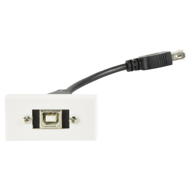 Buy AV:Link Wall Plate Module USB-B 2.0 - 122.535UK - Wall Plate Module USB-B 2.0 in Cyprus, Nicosia, Limassol, Larnaka, Pafos