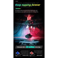 Thunderobot KG3089R Mechanical Gaming Keyboard - Black 89 Red Switch Keys (Boxed) — Buy in Cyprus with Fast Delivery