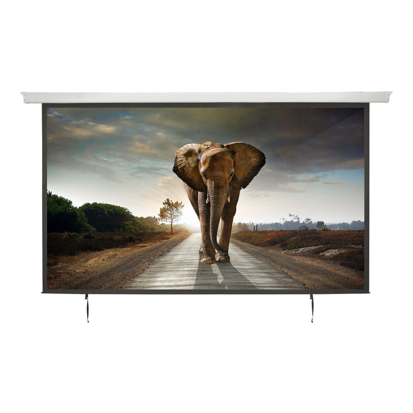 AV:Link Electric Screen - 952.325UK EU - 16:9 120' 2.7x1.5 — Buy in Cyprus with Fast Delivery