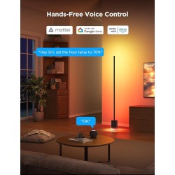 Buy Govee Lamp Floor Smart RGBICWW Supports Matter - H607C - Floor Lamp 2 Black in Cyprus, Nicosia, Limassol, Larnaka, Pafos