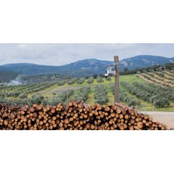 Reolink Outdoor Battery Camera - BP4G - 4K Trackmix LTE With Solar Panel Plus (G790) (Hard Bundle)