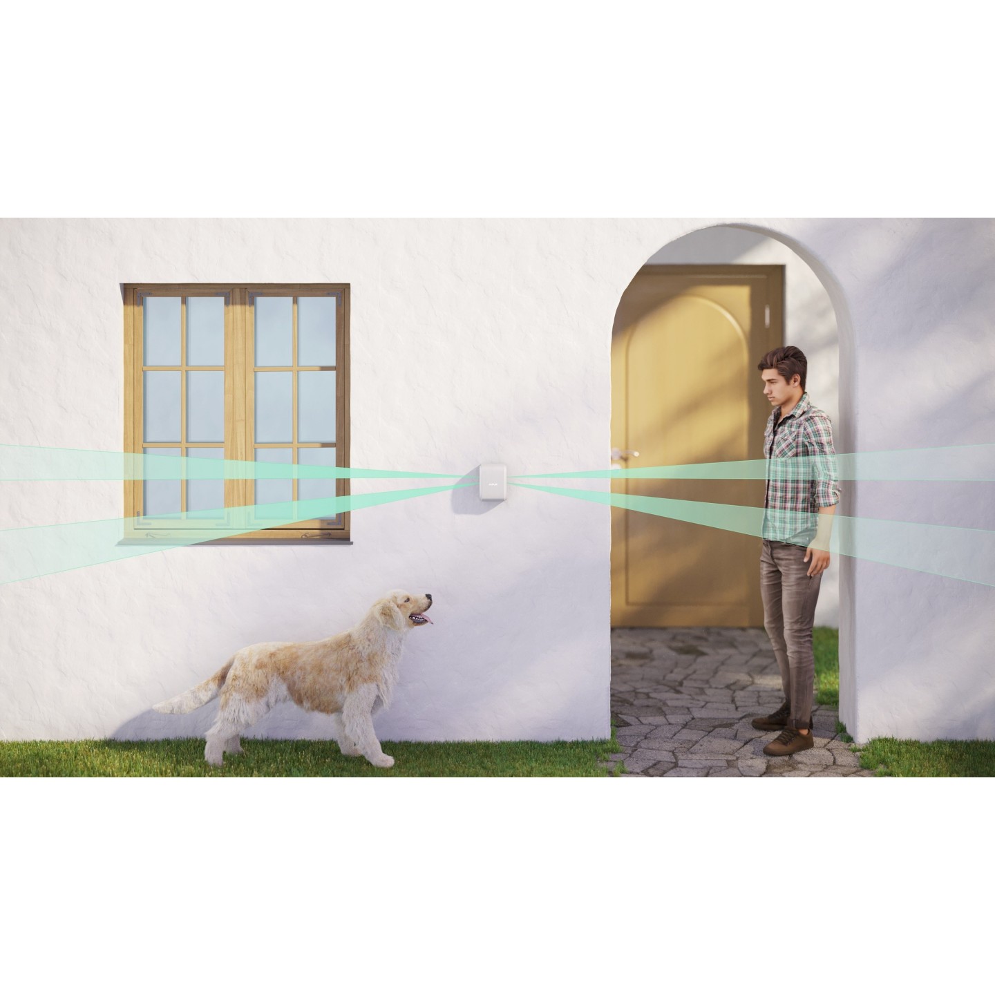 AJAX PIR DualCurtain Outdoor White - PIR DualCurtain Outdoor White — Buy in Cyprus with Fast Delivery