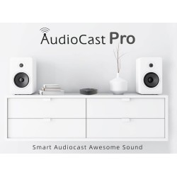 Buy iEast Audiocast - M20 - WiFi+BT Multiroom Audio Receiver in Cyprus, Nicosia, Limassol, Larnaka, Pafos