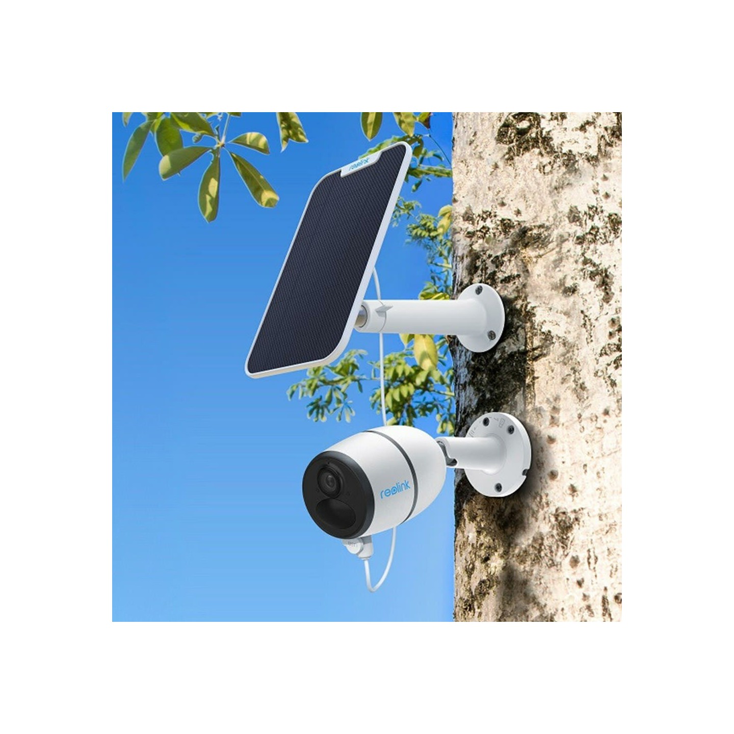 Reolink Solar Panel - 2 - for Reolink Battery Cameras (Type-C Micro USB adaptor) — Buy in Cyprus with Fast Delivery