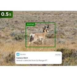 Buy Reolink Outdoor Battery Camera - BP4G - 4K PTZ GO Ranger PT + Solar in Cyprus, Nicosia, Limassol, Larnaka, Pafos