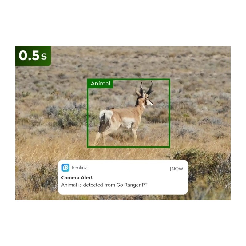 Buy Reolink Outdoor Battery Camera - BP4G - 4K PTZ GO Ranger PT + Solar in Cyprus, Nicosia, Limassol, Larnaka, Pafos