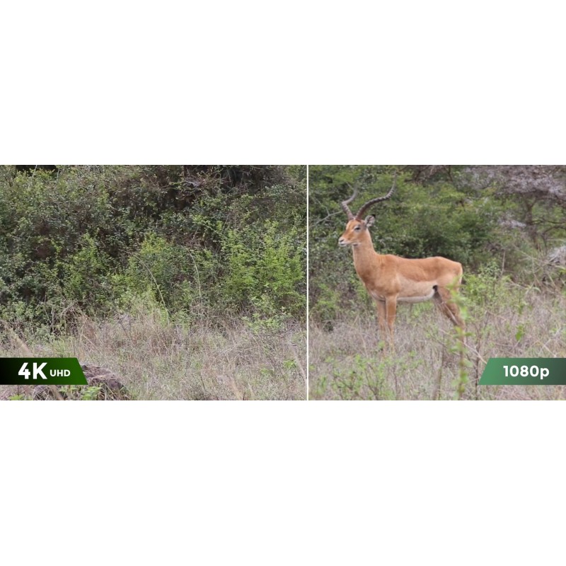 Buy Reolink Outdoor Battery Camera - BP4G - 4K PTZ GO Ranger PT + Solar in Cyprus, Nicosia, Limassol, Larnaka, Pafos