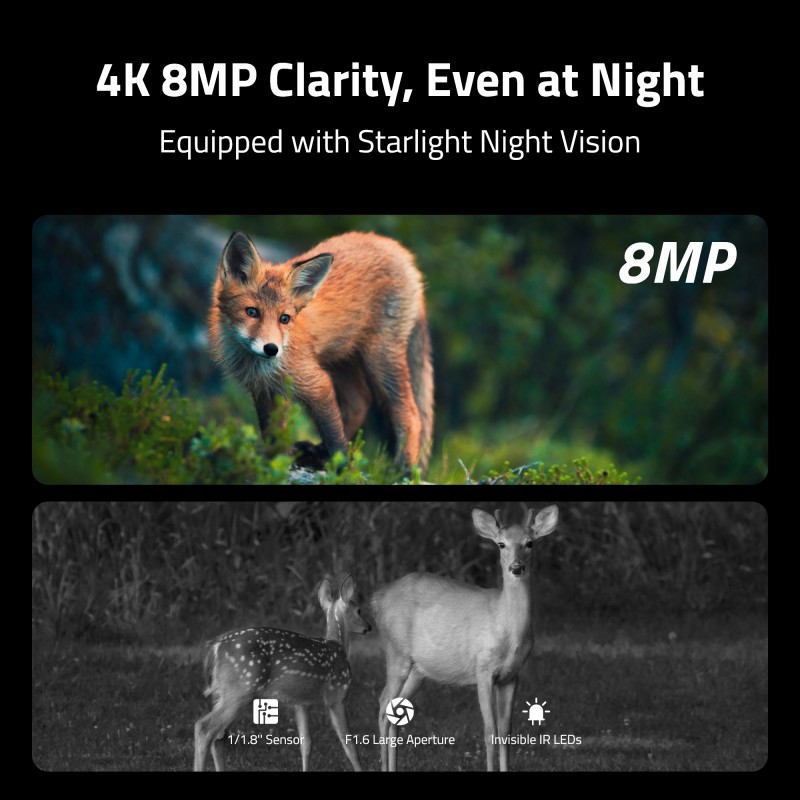 Buy Reolink BP4G Outdoor Battery Camera 4K Wildlife Camovue Talon Series - S130 in Cyprus, Nicosia, Limassol, Larnaka, Pafos