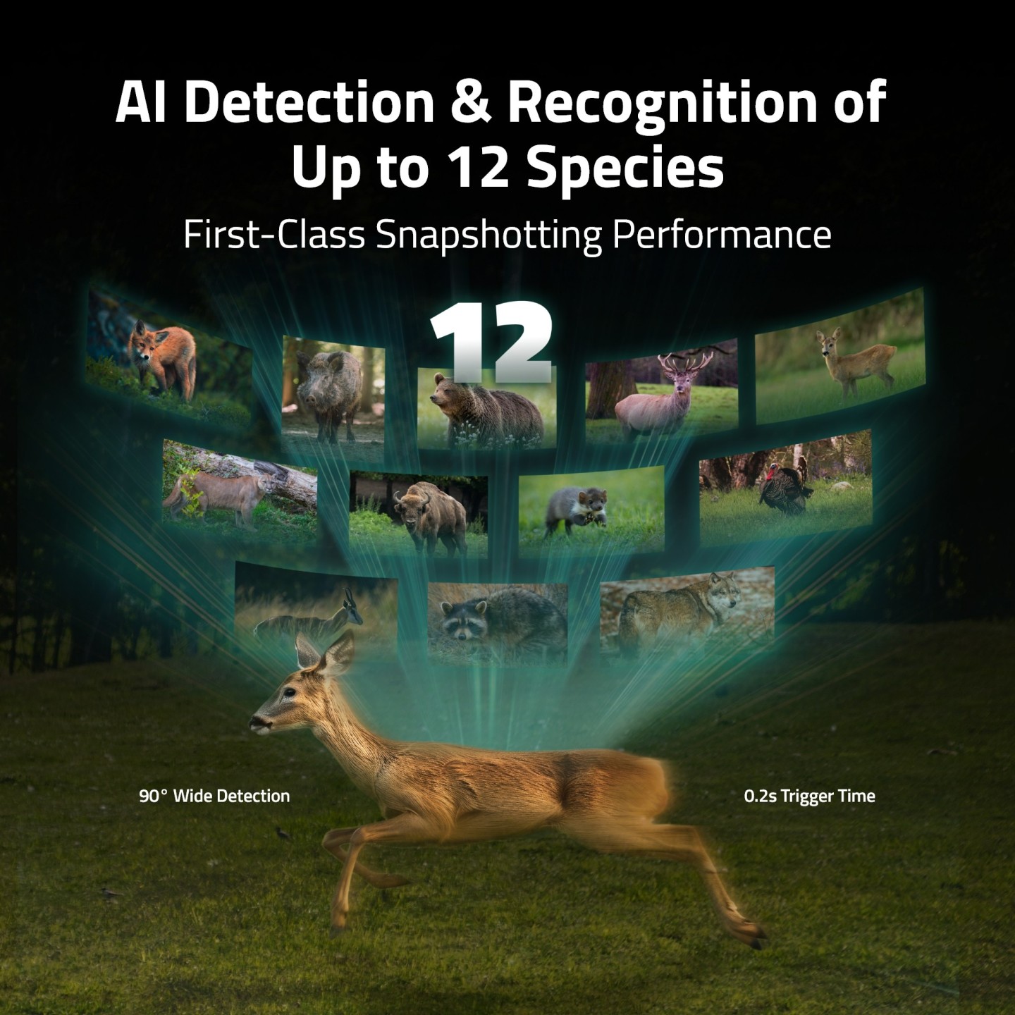 Reolink BP4G Outdoor Battery Camera 4K Wildlife Camovue Talon Series - S130 — Buy in Cyprus with Fast Delivery