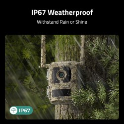 Buy Reolink BP4G Outdoor Battery Camera 4K Wildlife Camovue Talon Series - S130 in Cyprus, Nicosia, Limassol, Larnaka, Pafos