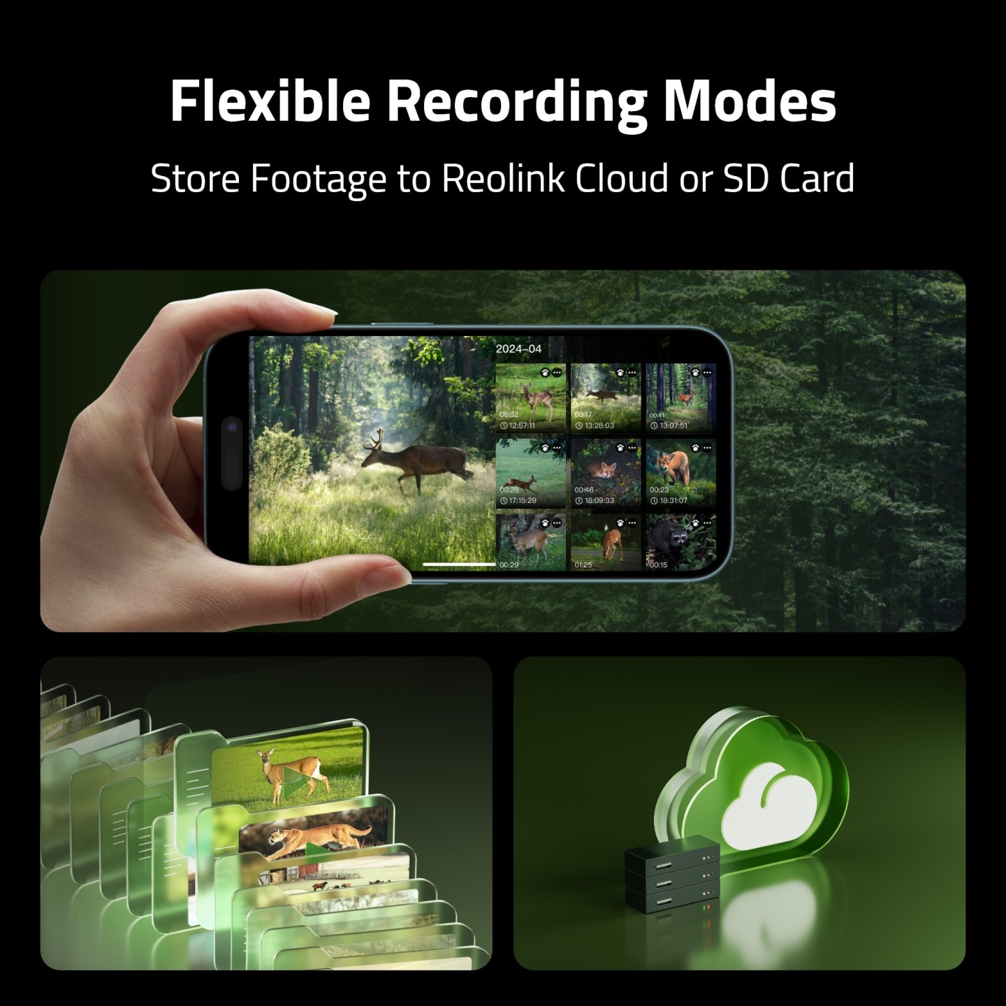 Reolink BP4G Outdoor Battery Camera 4K Wildlife Camovue Talon Series - S130 — Buy in Cyprus with Fast Delivery