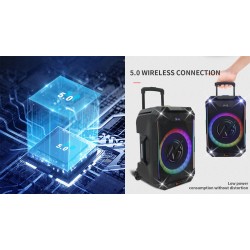 Buy N-Gear Portable Karaoke Speaker - FLASH1540 - 15'' Portable Karaoke Speaker ... in Cyprus, Nicosia, Limassol, Larnaka, Pafos