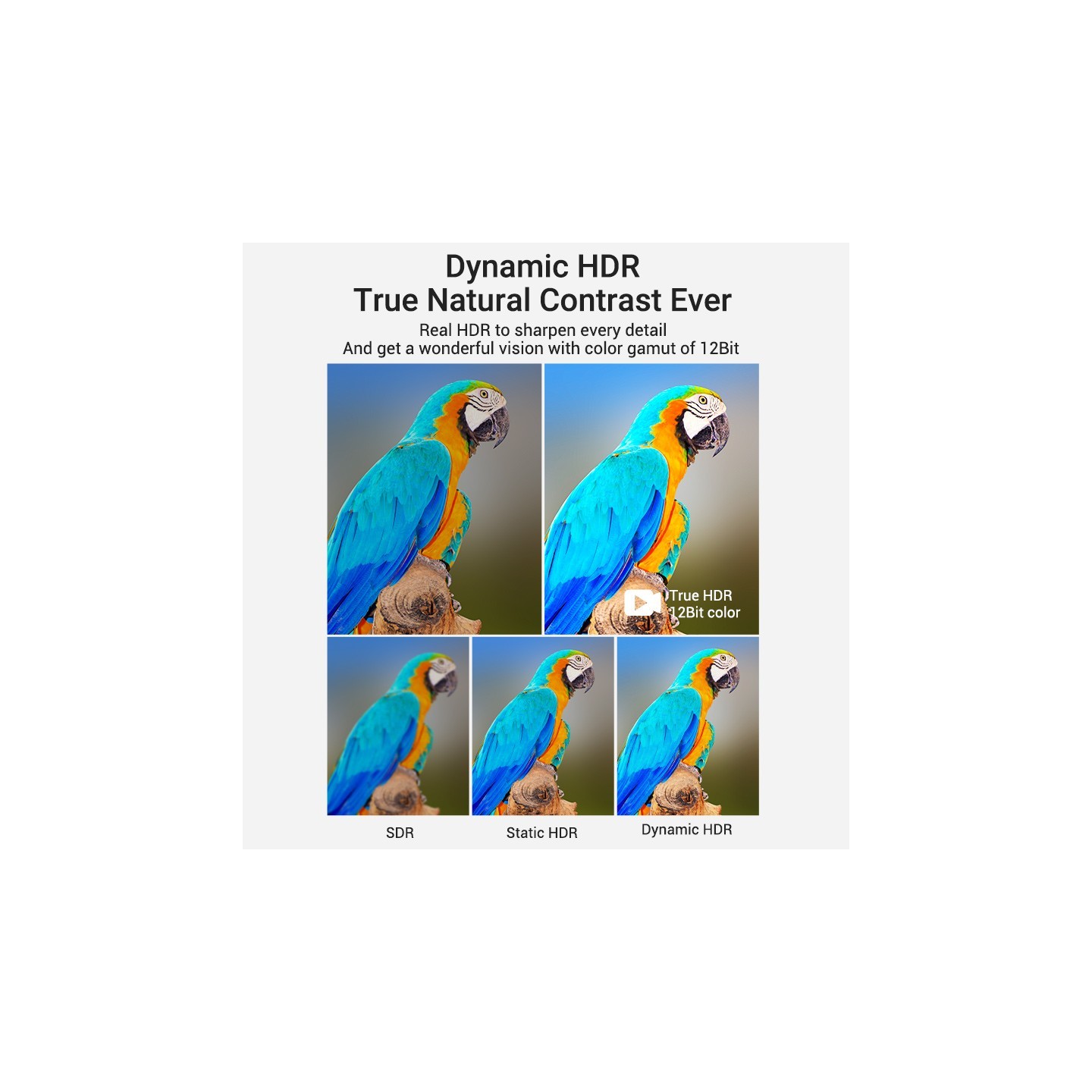 Vention HDMI Cable - AAUBG - 2.1 8K Braided 1.5m — Buy in Cyprus with Fast Delivery