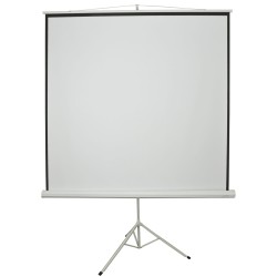 Buy AV:Link Tripod Projector Screen - 4:3 - 100' - 2.0x1.5 in Cyprus, Nicosia, Limassol, Larnaka, Pafos