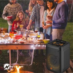 Buy N-Gear FLASH BANGER Portable Karaoke Speaker - 777 - With Two Microphones in Cyprus, Nicosia, Limassol, Larnaka, Pafos