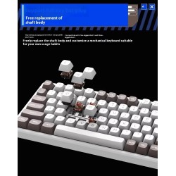 Buy Thunderobot GASKET Mechanical Keyboard - K98 - Trimode 2.4GHz-BT-USBC 99 Red... in Cyprus, Nicosia, Limassol, Larnaka, Pafos