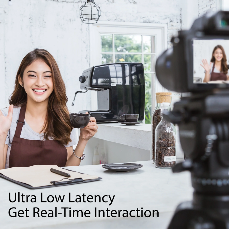 Buy j5create Capture Card - JVA11 - HDMI to USB-C A 2K Windows Android in Cyprus, Nicosia, Limassol, Larnaka, Pafos