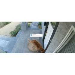 Buy Reolink POE IP PTZ Camera 8MP - RLC-823A - With Spotlights And Autotracking,... in Cyprus, Nicosia, Limassol, Larnaka, Pafos