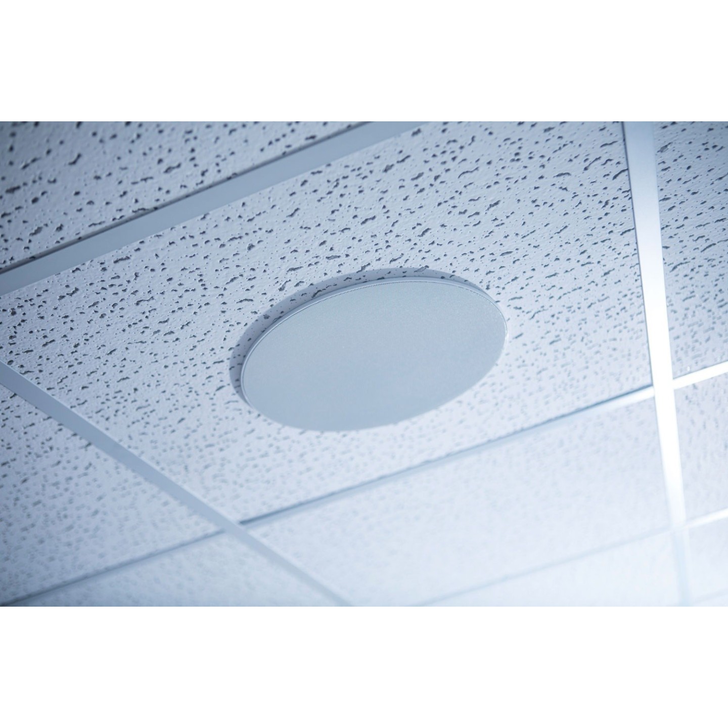 Adastra Flat Ceiling Speaker - LP6V - 6.5'' 20W 952.261UK — Buy in Cyprus with Fast Delivery