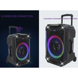 Buy N-Gear Portable Karaoke Speaker - FLASH1240 - 12'' Portable Karaoke Speaker ... in Cyprus, Nicosia, Limassol, Larnaka, Pafos