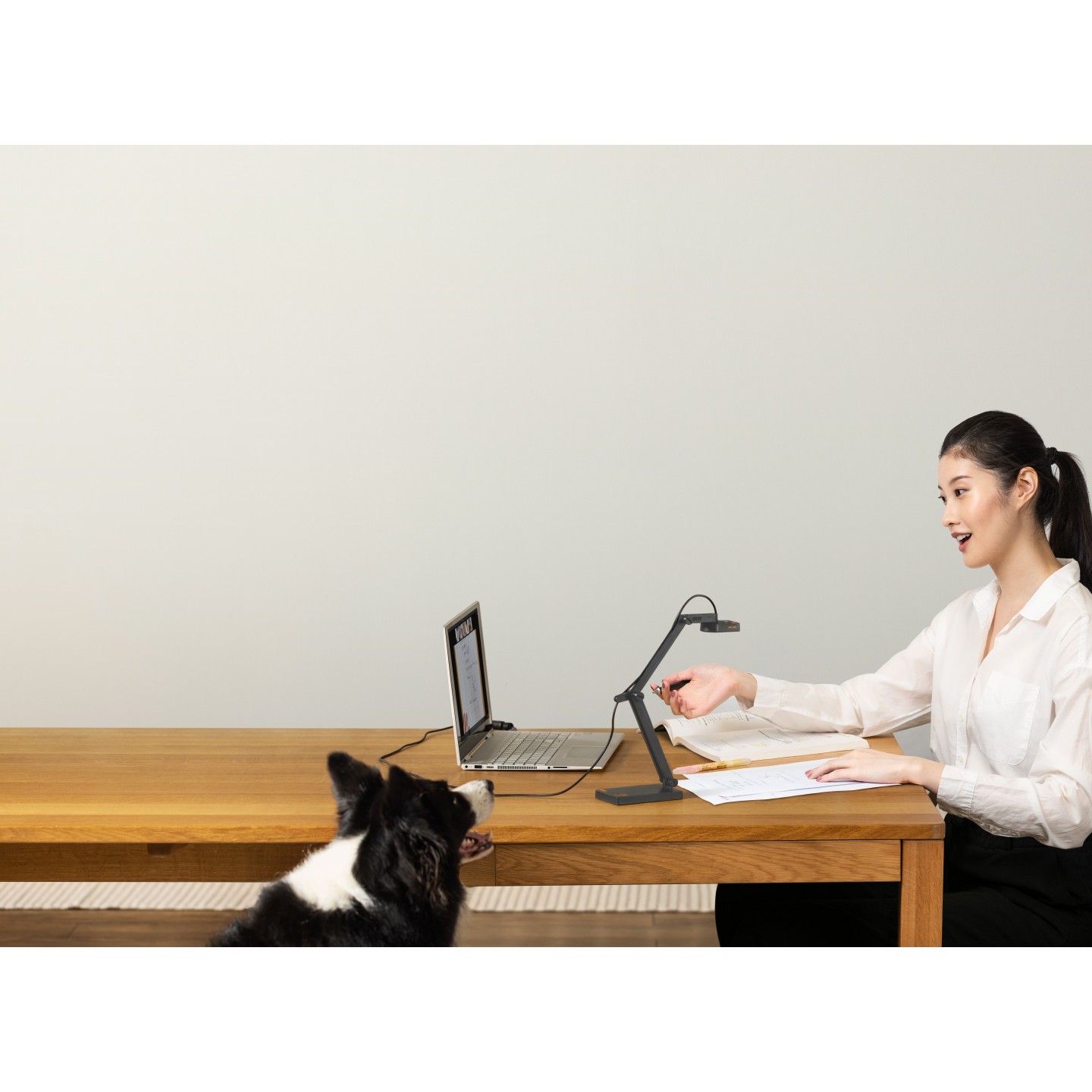 IPEVO Document Camera - V4K PRO - Ultra HD USB Document Camera — Buy in Cyprus with Fast Delivery