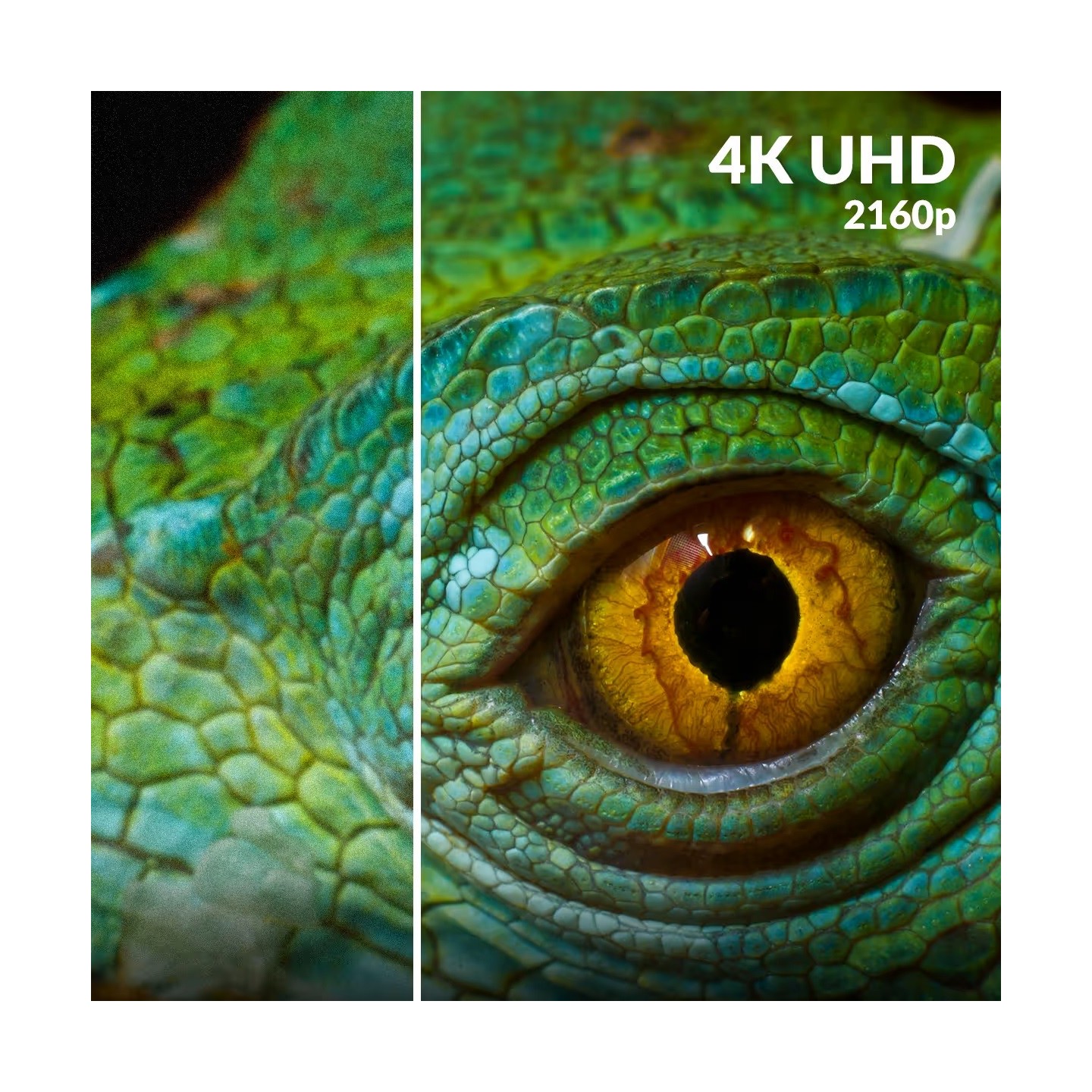 Strong Google TV Smart Box - LEAP-S3UK - with Dual Band Wi-Fi GoogleCast 4K Android — Buy in Cyprus with Fast Delivery