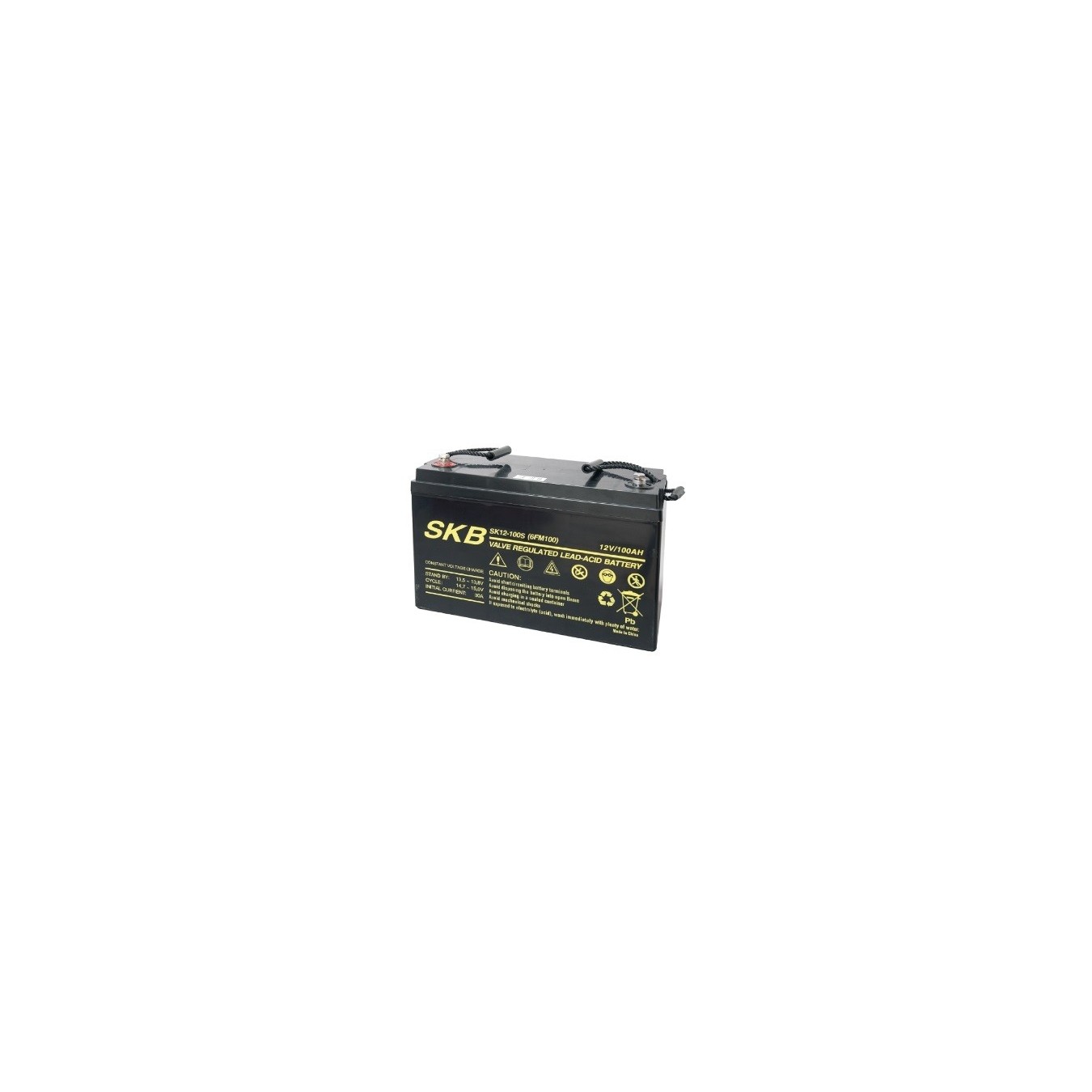 SKB SK12-100S – 12V 100Ah VRLA Battery | Armenius Store