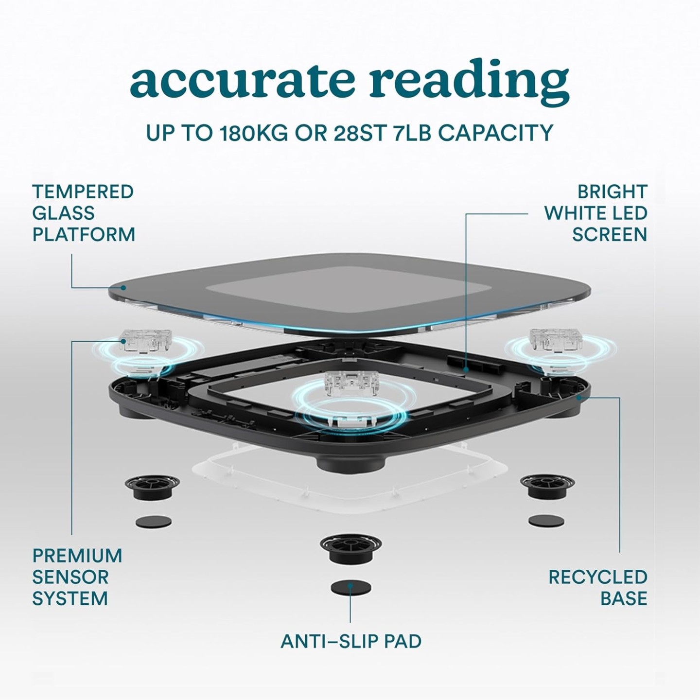 HoMedics Body Scale Glo Essential - SCL-B100 - Black — Buy in Cyprus with Fast Delivery