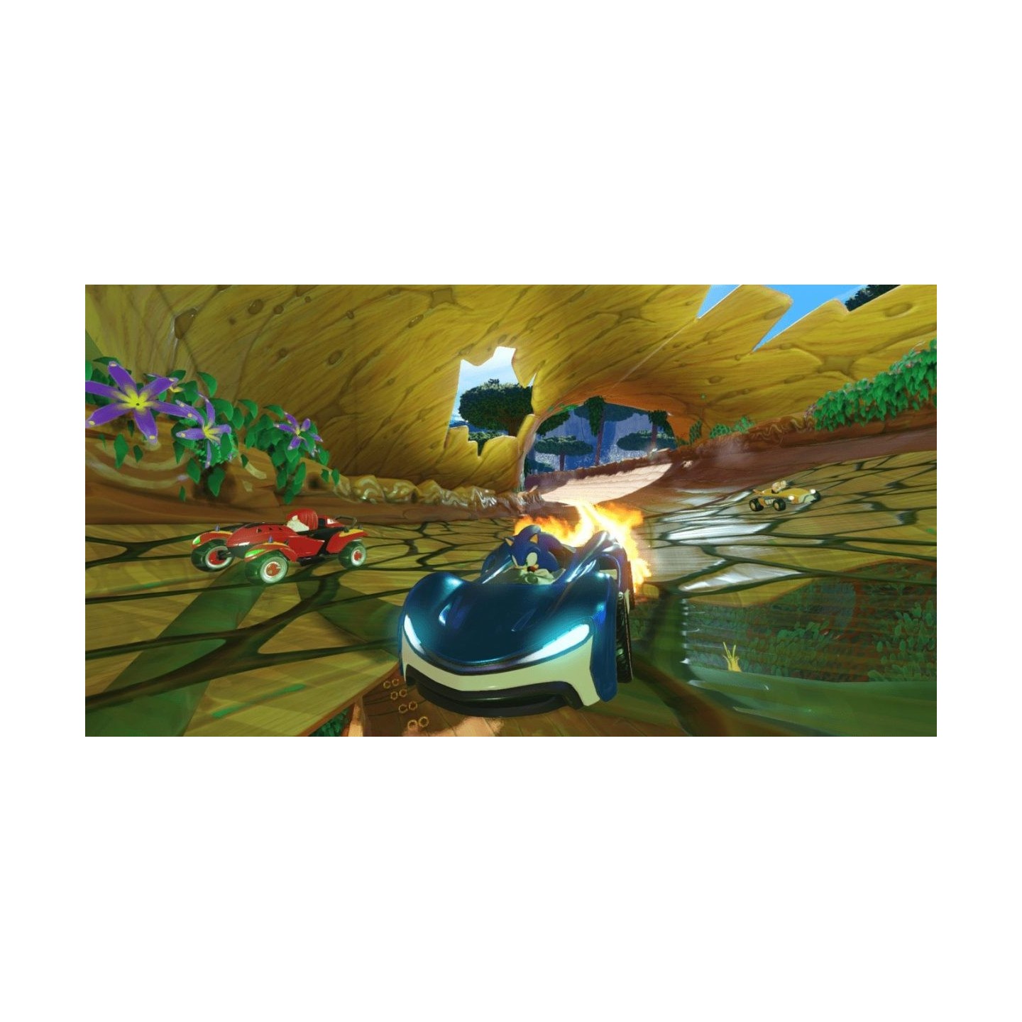 Team Sonic Racing - PS4 — Buy in Cyprus with Fast Delivery