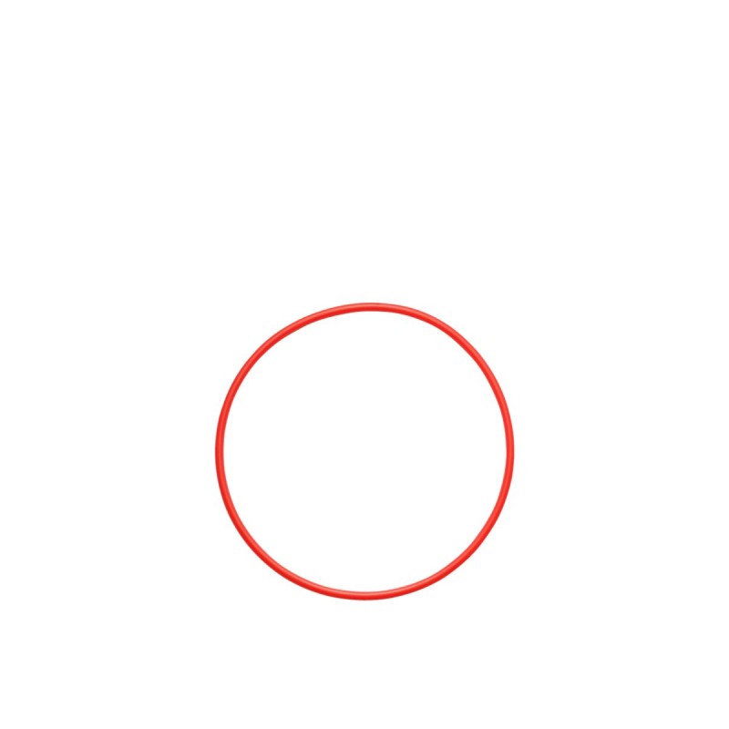 Olympus O-ring - POL-058 - for PT-058 PT-059 — Buy in Cyprus with Fast Delivery