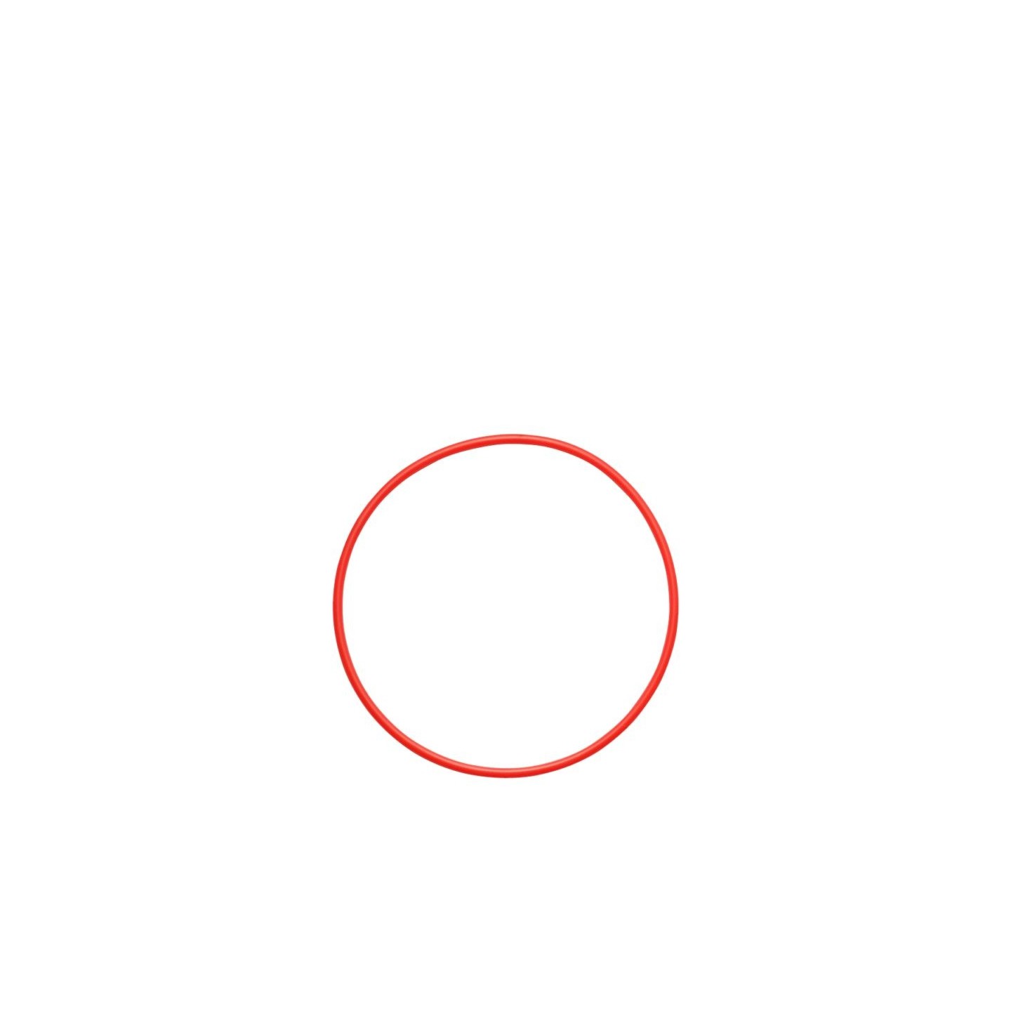 Olympus O-ring - POL-058 - for PT-058 PT-059 — Buy in Cyprus with Fast Delivery