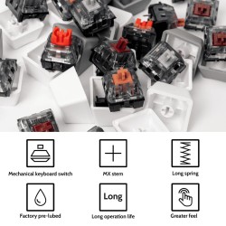 Buy Kailh Super Speed Switch - G142 - Silver (110pcs) in Cyprus, Nicosia, Limassol, Larnaka, Pafos