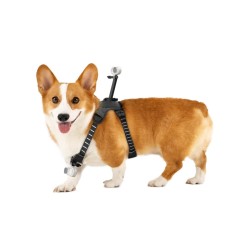 Buy Insta360 Go 3 Go 3S Pet Harness Mount - Size M in Cyprus, Nicosia, Limassol, Larnaka, Pafos