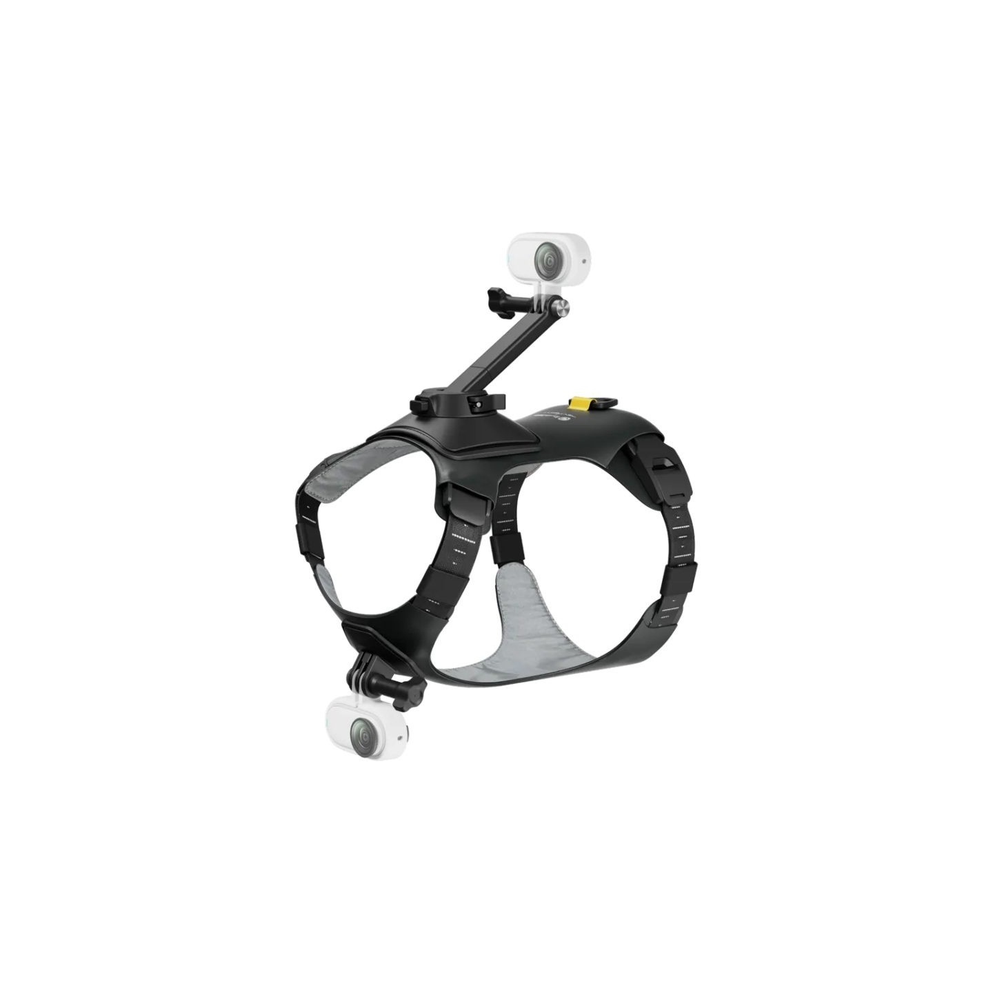 Insta360 Go 3 Go 3S Pet Harness Mount - Size M — Buy in Cyprus with Fast Delivery