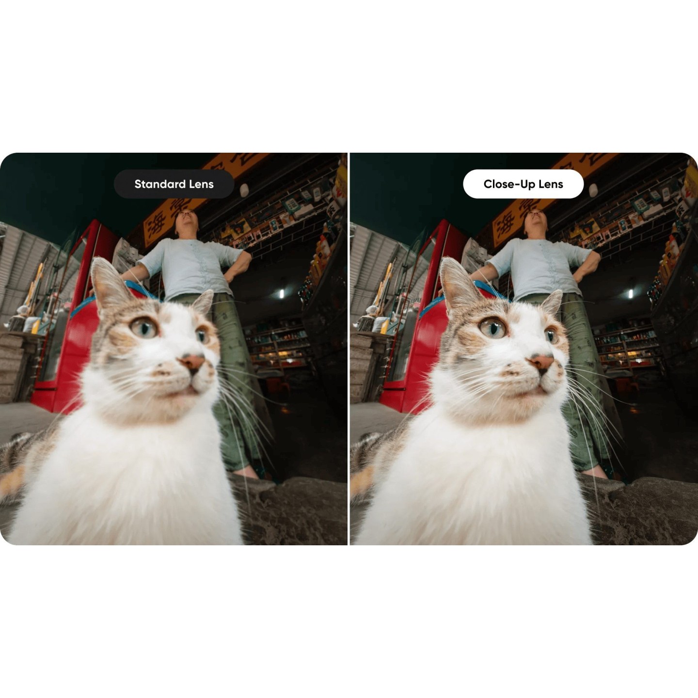 Insta360 Close-Up Lens - Ace Pro 2 - Focal length from 10 cm to 75 cm — Buy in Cyprus with Fast Delivery