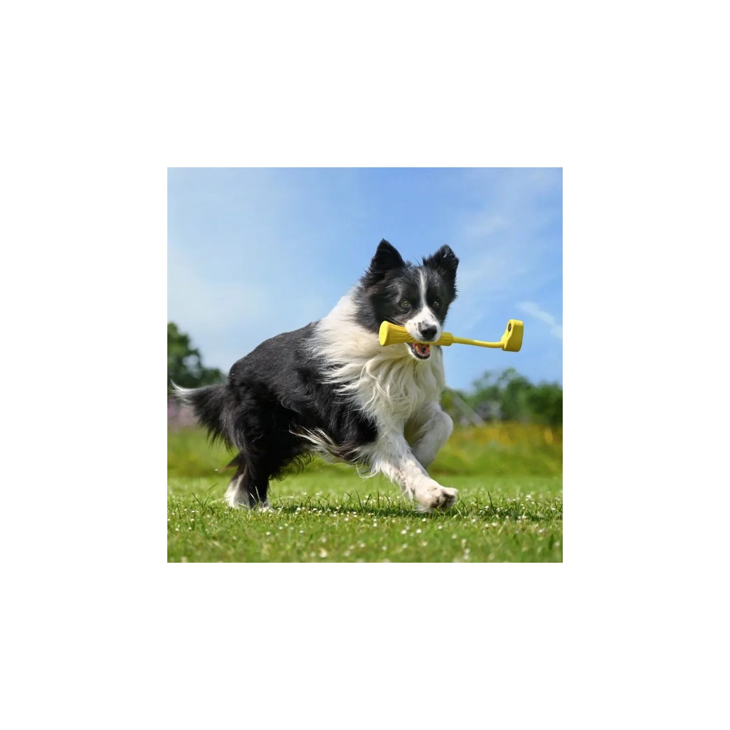 Insta360 GO Fetch Stick - GO 3 - Fetch Stick — Buy in Cyprus with Fast Delivery