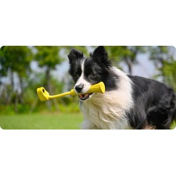 Buy Insta360 GO Fetch Stick - GO 3 - Fetch Stick in Cyprus, Nicosia, Limassol, Larnaka, Pafos