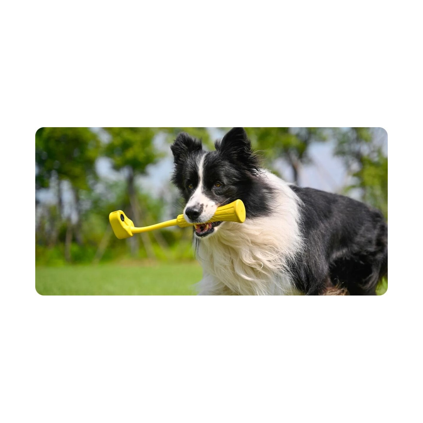 Insta360 GO Fetch Stick - GO 3 - Fetch Stick — Buy in Cyprus with Fast Delivery