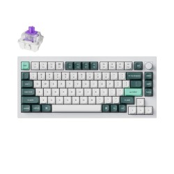 Keychron Q1 HE Q1H-P1 QMK White Wireless Hall Effect Keyboard Purple Switch 75% US (Boxed) — Buy in Cyprus with Fast Delivery