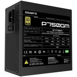 Buy Gigabyte GP-P750GM - 750W 80 PLUS Gold Fully-Modular ATX PSU, Black in Cyprus, Nicosia, Limassol, Larnaka, Pafos