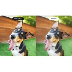 Buy Insta360 Black Mist Filter - Ace Pro 2 - For cinematic shots in Cyprus, Nicosia, Limassol, Larnaka, Pafos