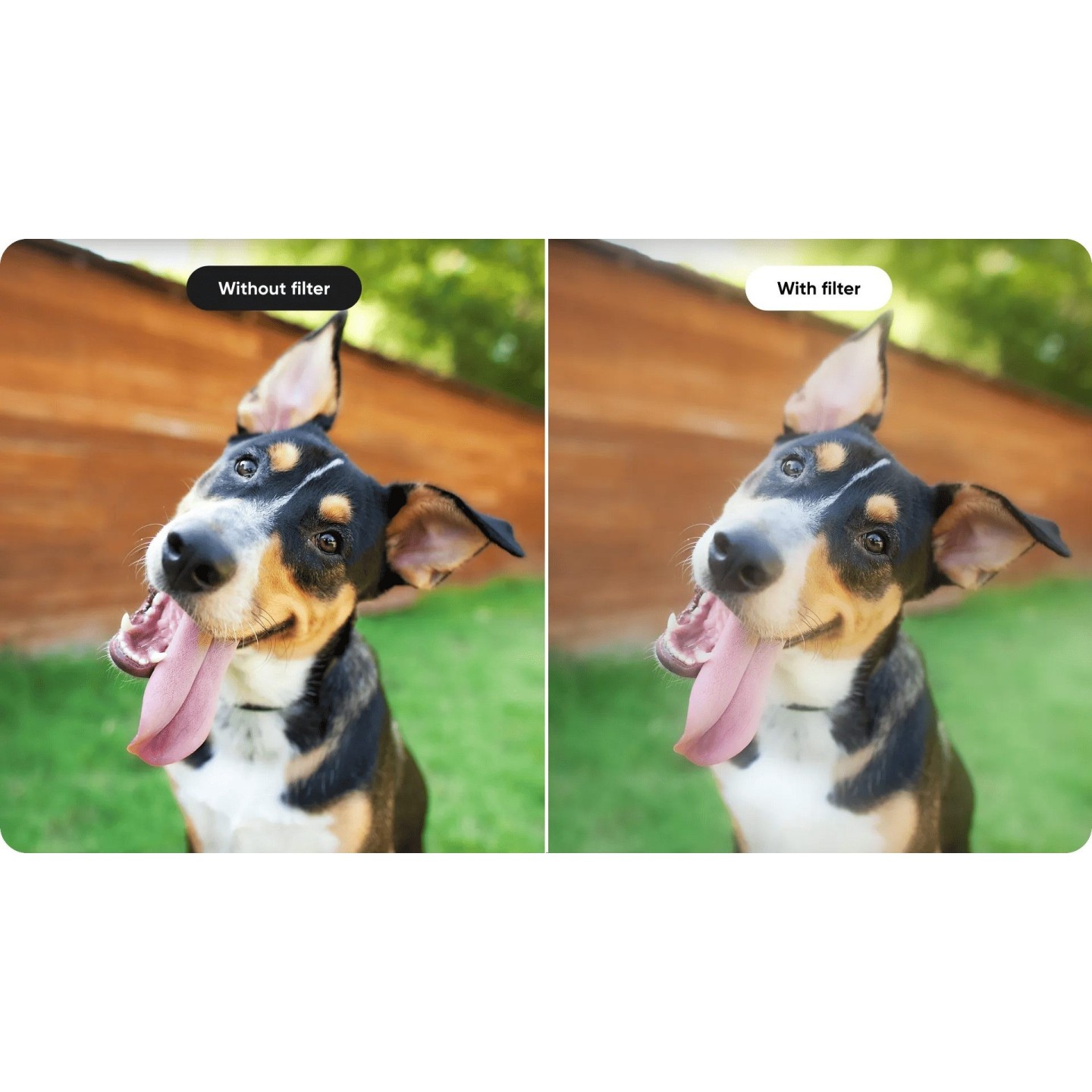 Insta360 Black Mist Filter - Ace Pro 2 - For cinematic shots — Buy in Cyprus with Fast Delivery