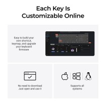 Keychron Q6 HE Q6H-M1 – Wireless Hall Effect Keyboard 100% US | Armenius Store