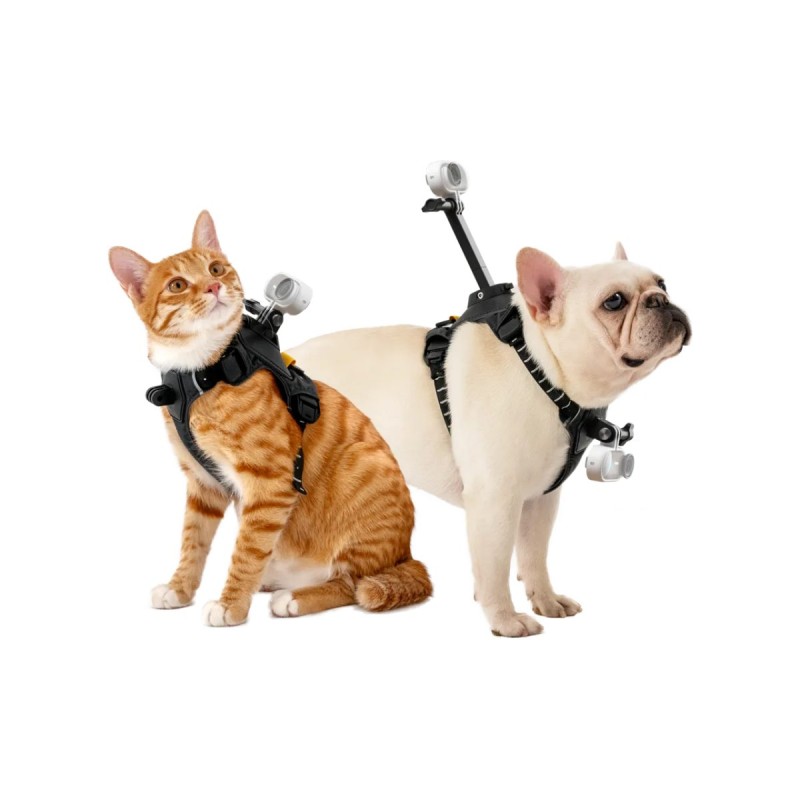 Buy Insta360 Go 3 - Go 3S - Pet Harness Mount Size S in Cyprus, Nicosia, Limassol, Larnaka, Pafos